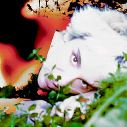 On se meurt au summer