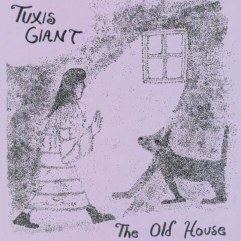 The Old House