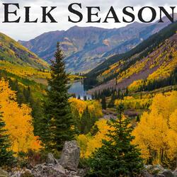 Elk Season