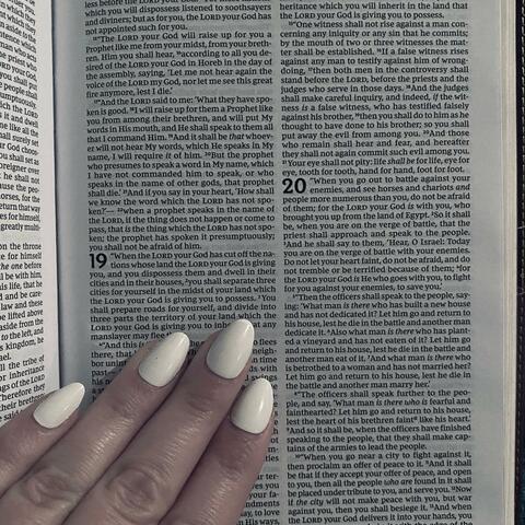 Daily Bread