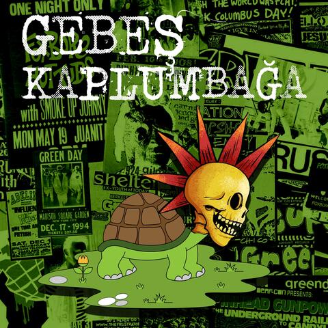 Gebeş Kaplumbağa