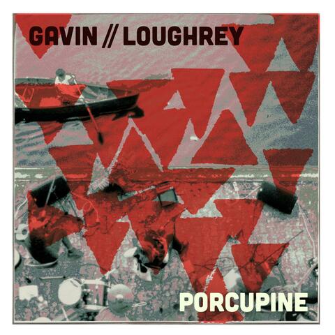 Porcupine