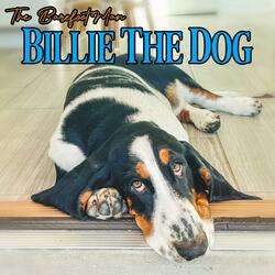 Billie The Dog