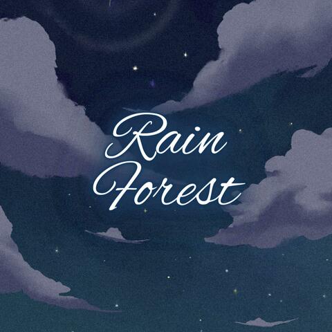 Rain Forest