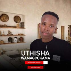 Isithombe esisha