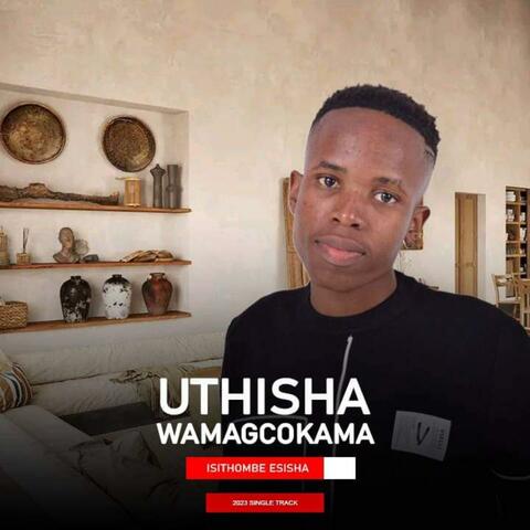 Isithombe esisha