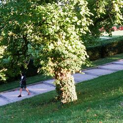 Les Rues Familières, Film Coréen