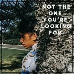 Not The One You're Looking For