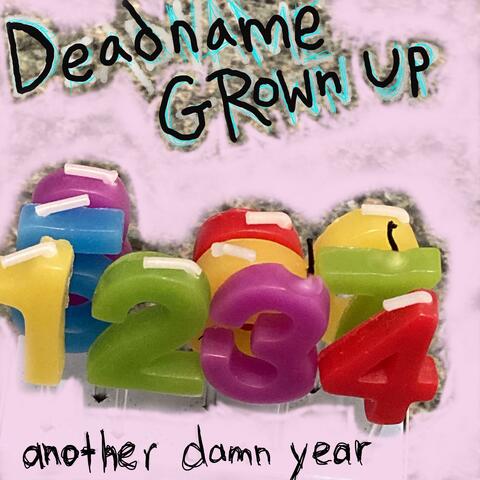 another damn year