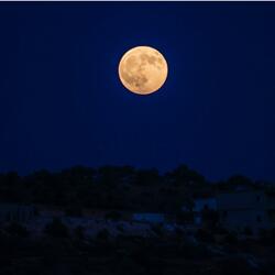 Back To The Moon Cover