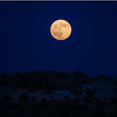 Back To The Moon Cover