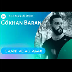 Grani Korg Pa4x
