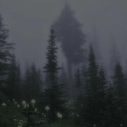 walking alone