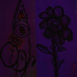 My Favourite Shame & Shit Meteor Freestyle