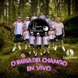 CUMBIA DEL CHANGO (PASSION VALLENATA)