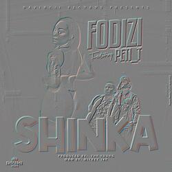 SHINKA (feat. Peti_t)