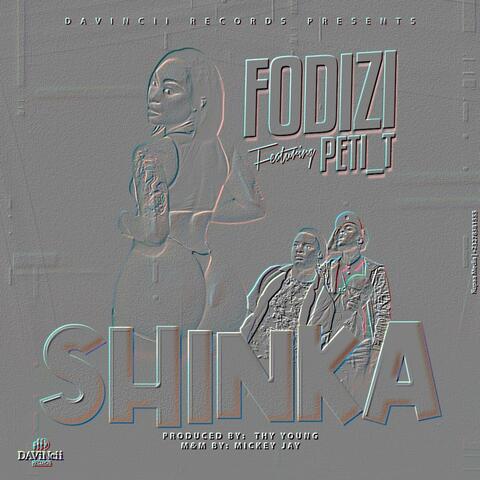 SHINKA (feat. Peti_t)