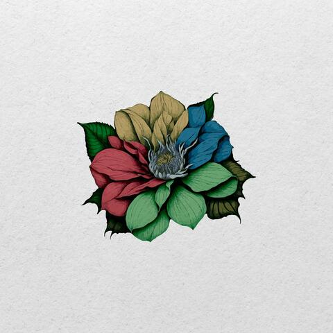 I Fiori Sbocciano Tutto L'Anno