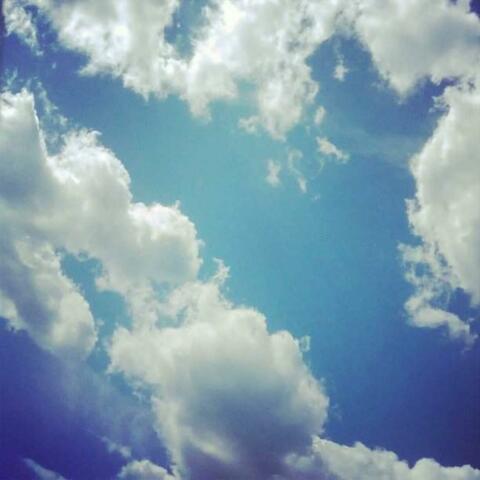 Con el Viento