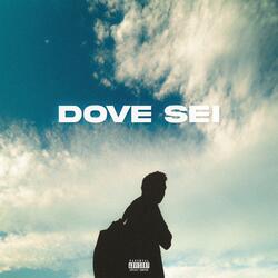 DOVE SEI
