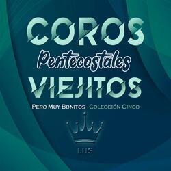 Como el Ciervo Brama