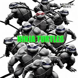 Ninja Turtles