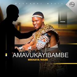 Amathe embongolo (feat. Mthobisi Mthwane)
