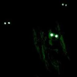Demon Eye