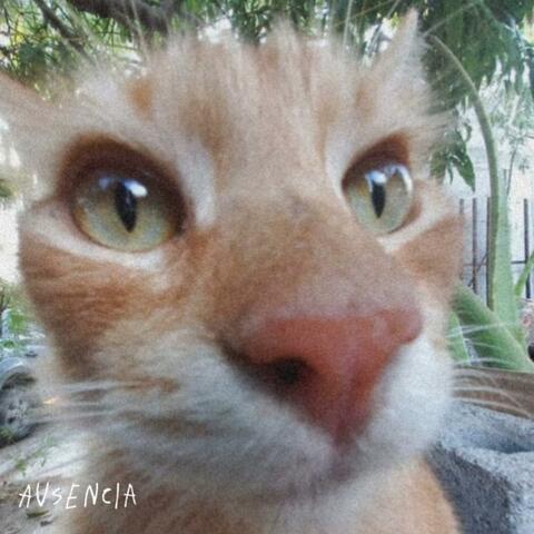 ausencia