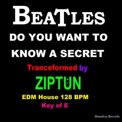 Do You Want To Know A Secret