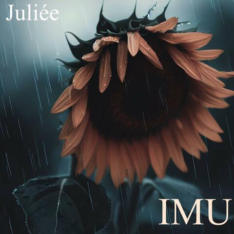 IMU