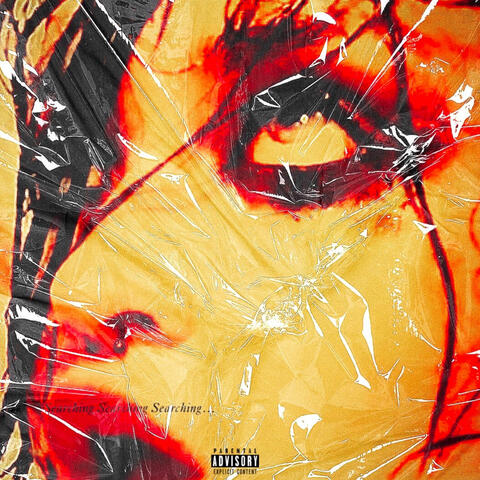 Searching..Searching..Searching...