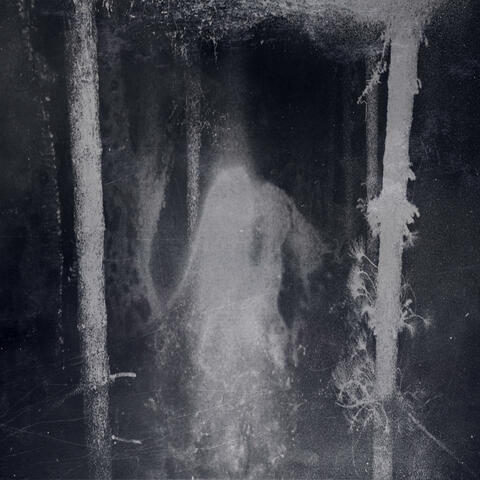 Enshrouded By The Veil Of Night