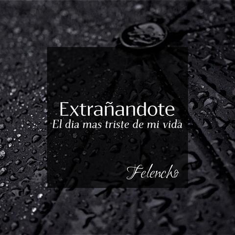 Extrañandote (El dia mas triste de mi vida)