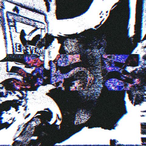 365