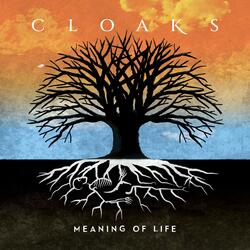 Meaning of Life