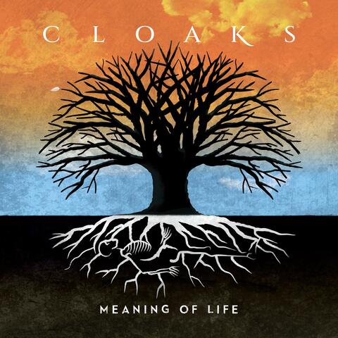 Meaning of Life