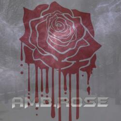 AMBROSE