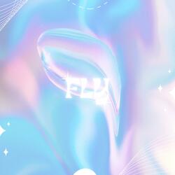 Fly