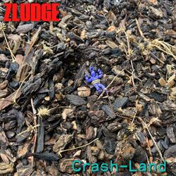Crash-Land (feat. Nick Simone)