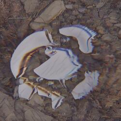 Platos Rotos (Ya Están)