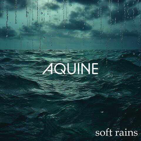 Soft Rains