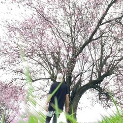 onyx (feat. Rodmane)