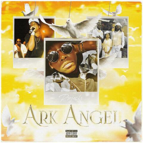Ark Angel