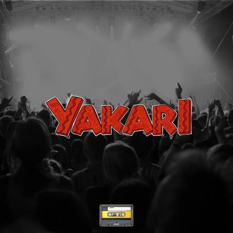 ETT RINGERIKE PARDY (YAKARI)