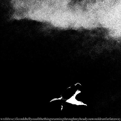 wxthlxve;ificouldtellyouallthethingsrunningthroughmyheadyouwouldrunfarfaraway