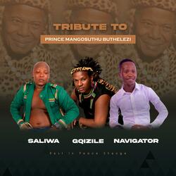 Prince Mangosuthu Tribute Song