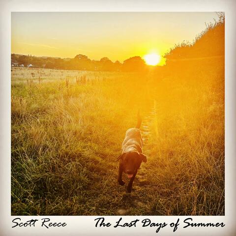 The Last Days of Summer