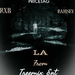 Price tag (feat. Rxb Ram$ey)