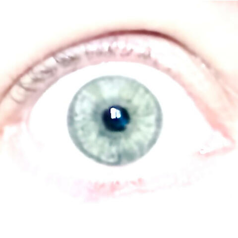 You See Everything